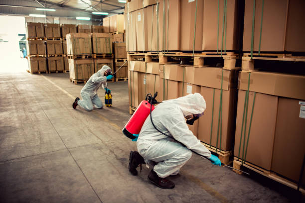 Best Local Pest Control Services  in Bloomville, OH