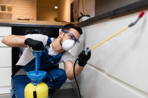 Pest Control Cost in Bloomville, OH