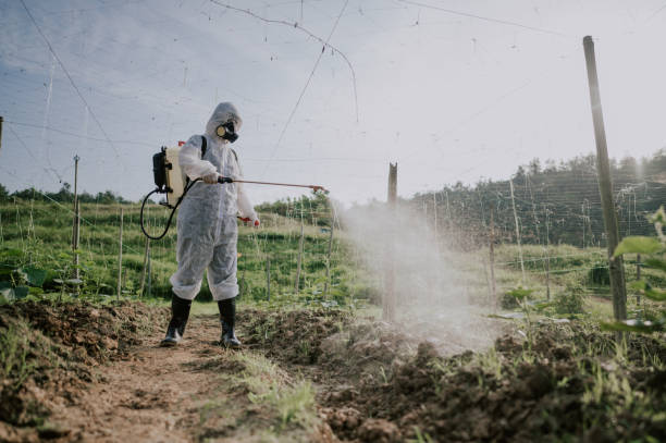 Best Pest Control Treatment  in Bloomville, OH