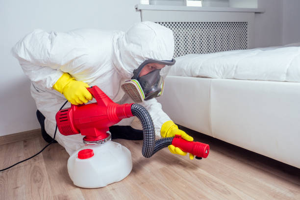 Best Pest Prevention Services  in Bloomville, OH