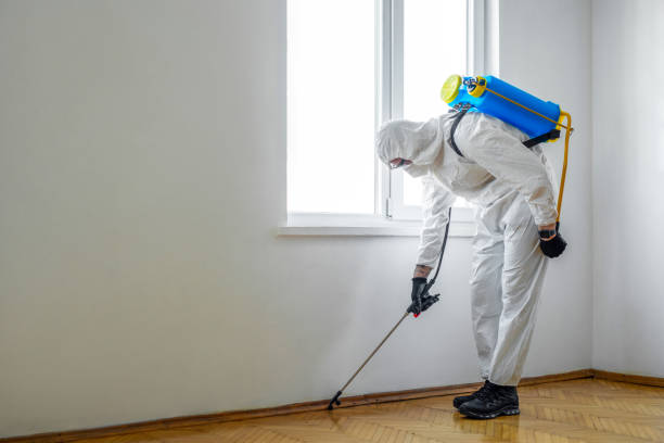 Best Residential Pest Control  in Bloomville, OH