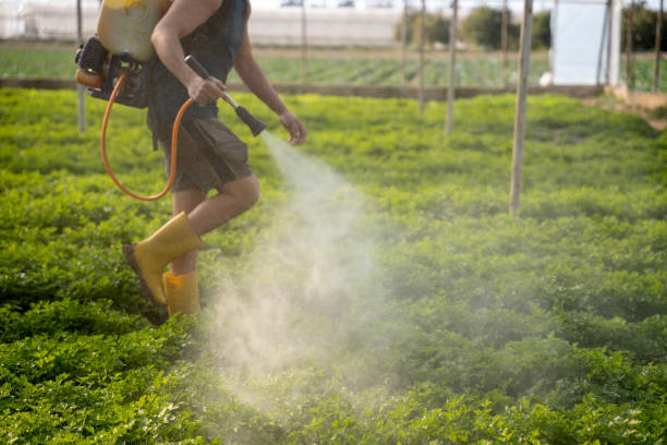 Best Ant Control Services  in Bloomville, OH