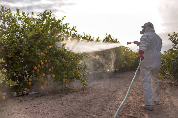 Best Bed Bug Extermination  in Bloomville, OH