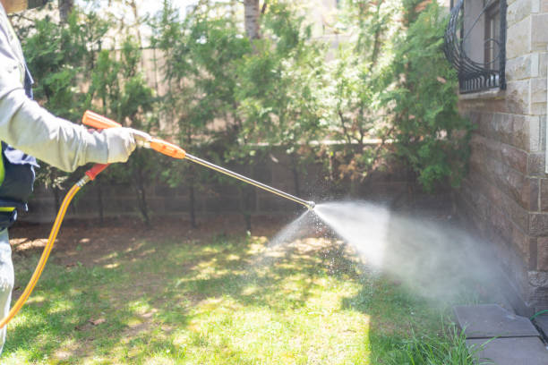 Best Bird Control  in Bloomville, OH