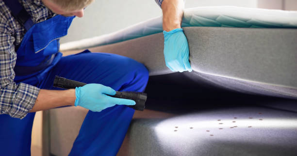 Flea Control Services in Bloomville, OH