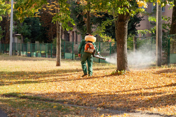 Best Best Pest Control Companies  in Bloomville, OH