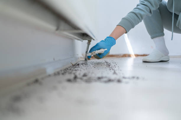 Best Pest Control for Businesses  in Bloomville, OH